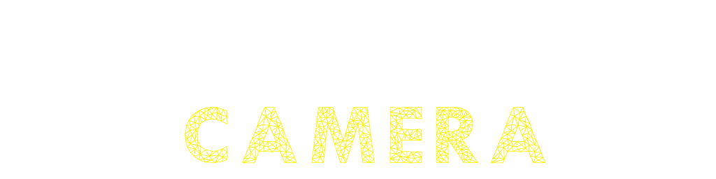 Polygon.Camera